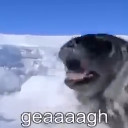 Sea Doggo Dub Pack